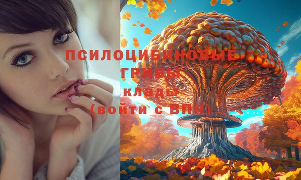 кокаин колумбия Алексеевка